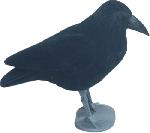 Flocked Crow