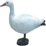 Goose