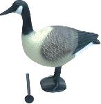 Goose