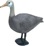 Goose