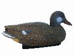 Duck(Separated body)