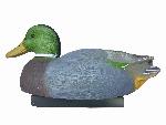 Duck(Separated body)