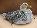 Goose(Half Shell)