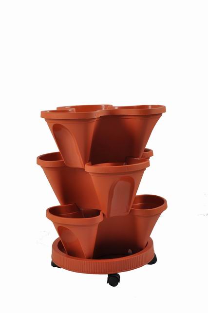 FLOWER POT